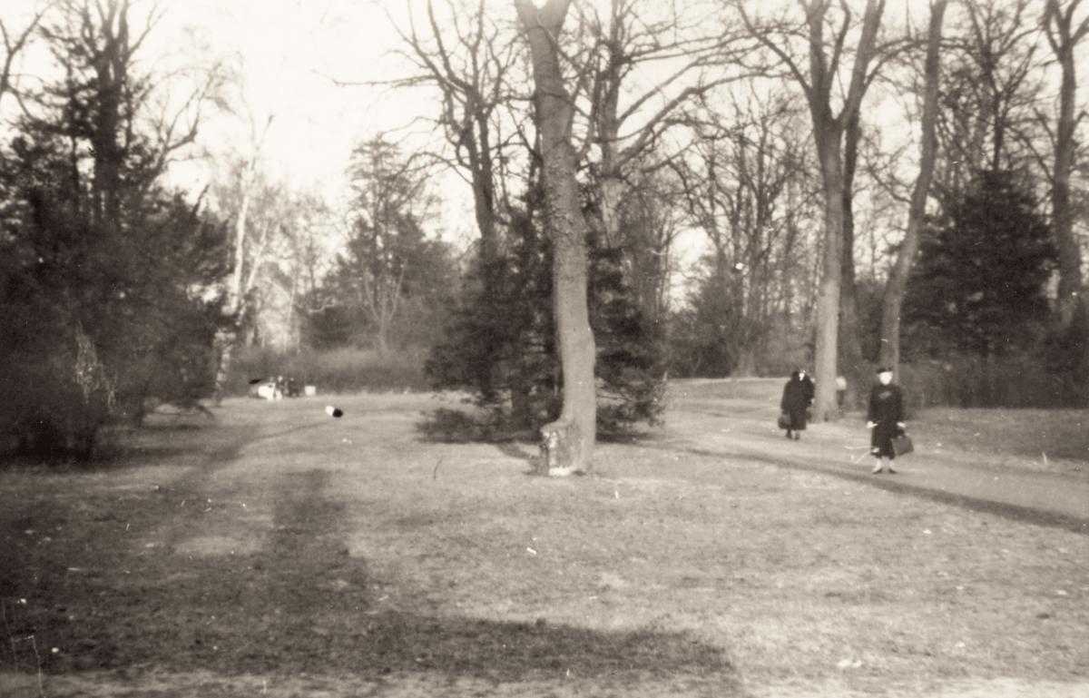 Blick vom Haus in den Brosepark, 15.3.1943.